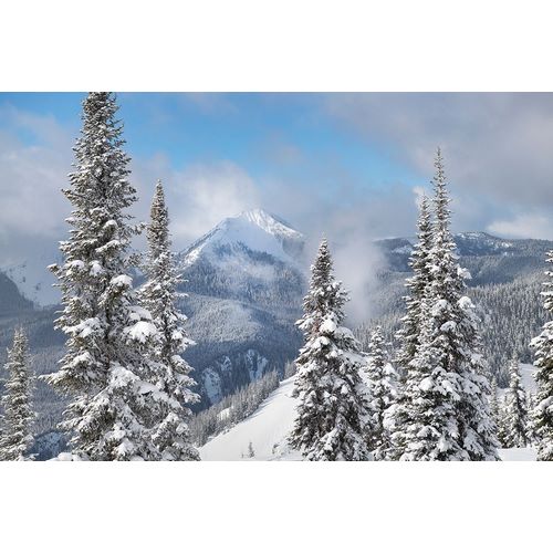 North Cascades in fresh winter snow Manning Provincial Park-British Columbia